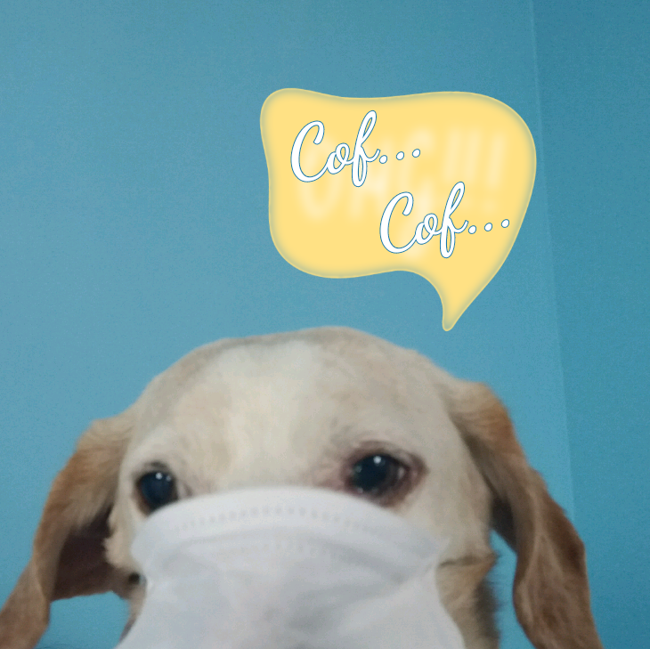Perro cubriendo su hocico con una mascarilla y texto diciendo 'Cof, cof'