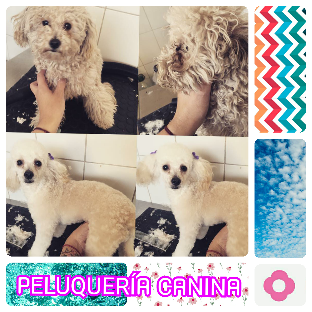 “Peluquería”