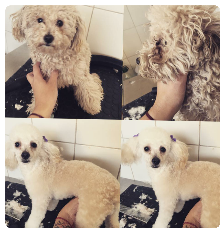 “Peluquería”